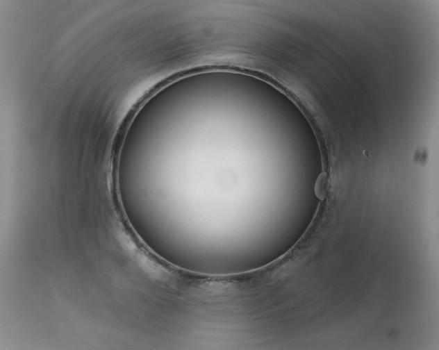 X0000113120888200908281435