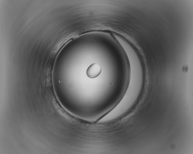 X0000113120889200908281435