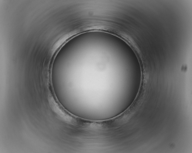 X0000113120890200908281435