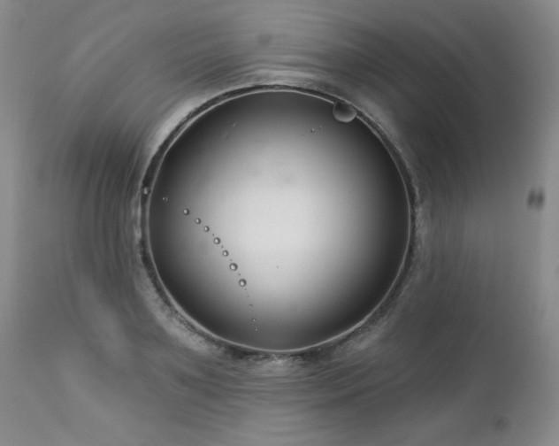 X0000113120891200908281435