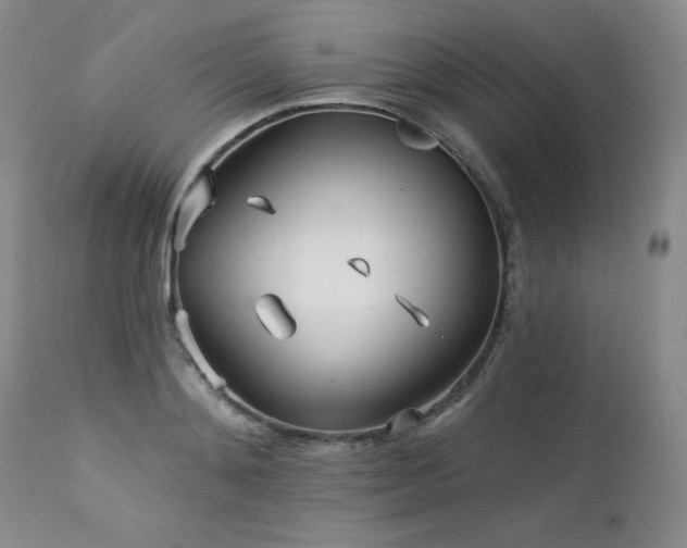 X0000113120892200908281435