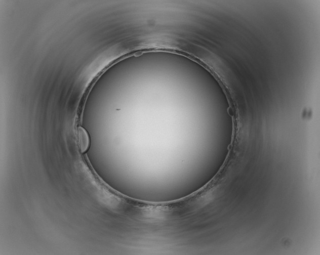 X0000113120893200908281435