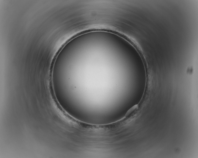 X0000113120895200908281435