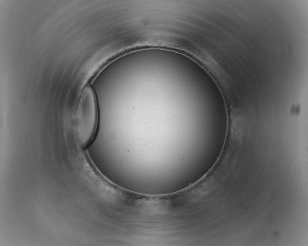 X0000113120896200908281435