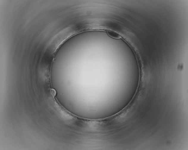 X0000113120897200908281435