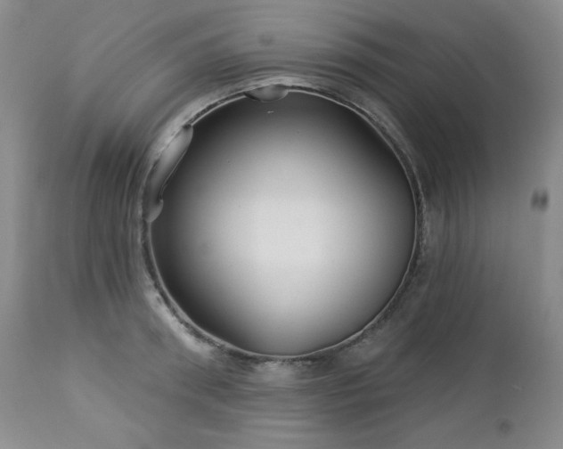 X0000113120898200908281435