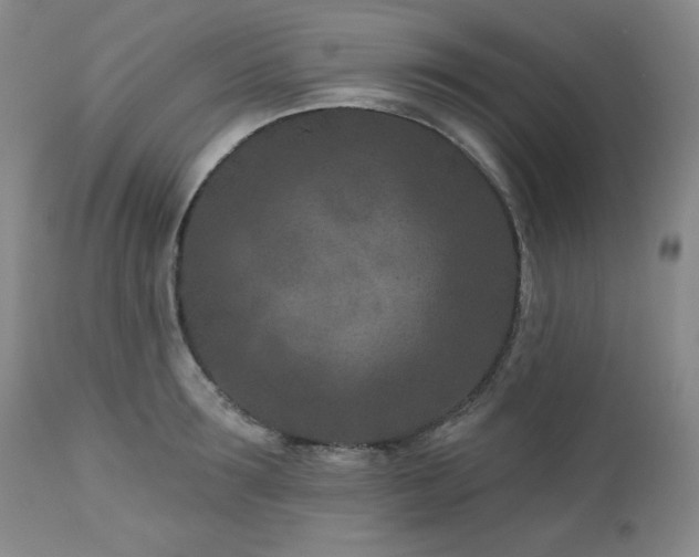 X0000113120899200908281435