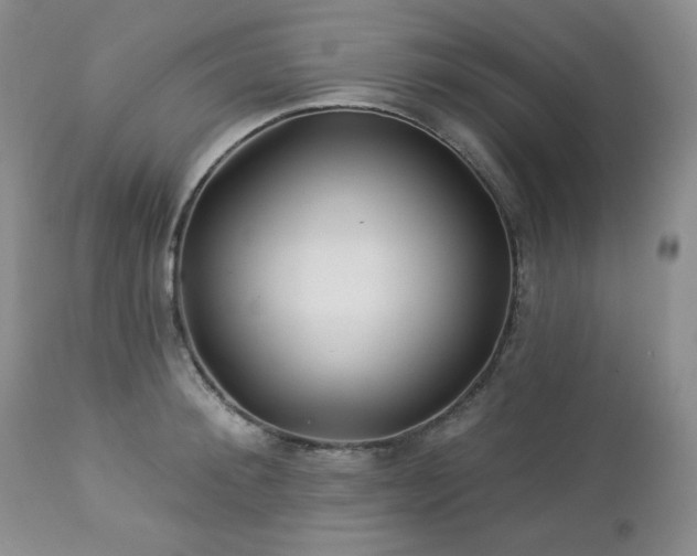 X0000113120900200908281435