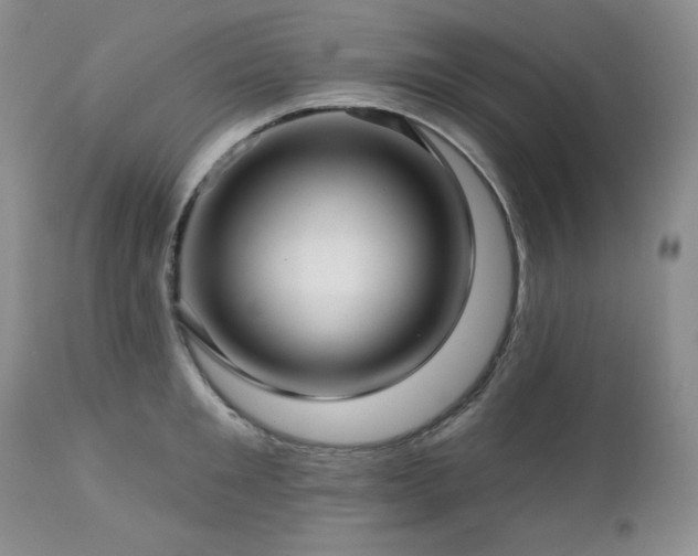 X0000113120901200908281435