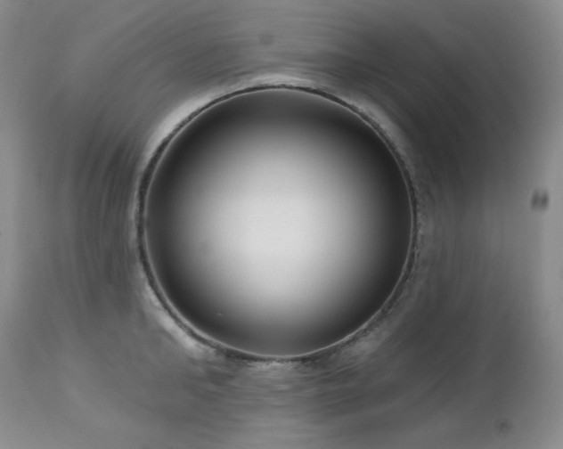 X0000113120902200908281435