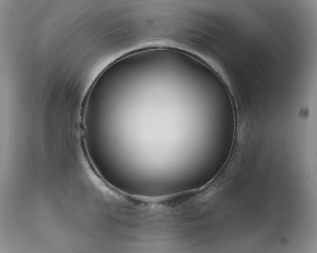 X0000113120903200908281435