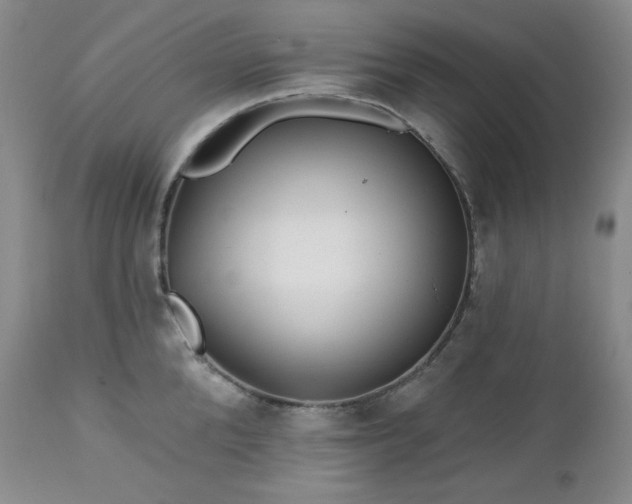 X0000113120904200908281435