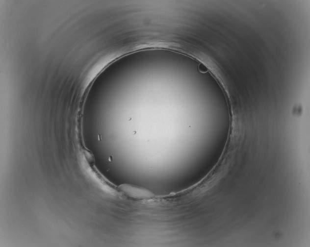 X0000113120906200908281435