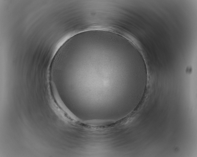 X0000113120907200908281435