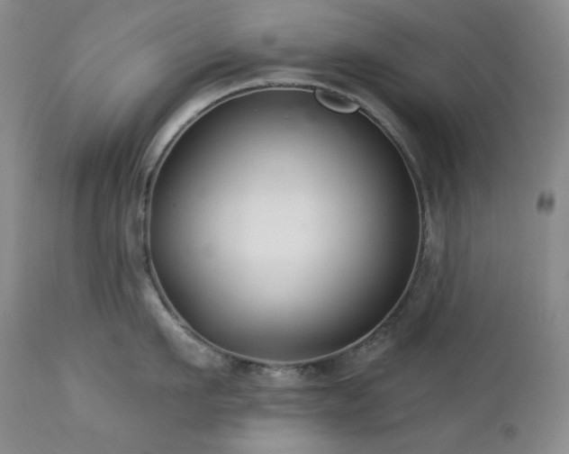 X0000113120911200908281435