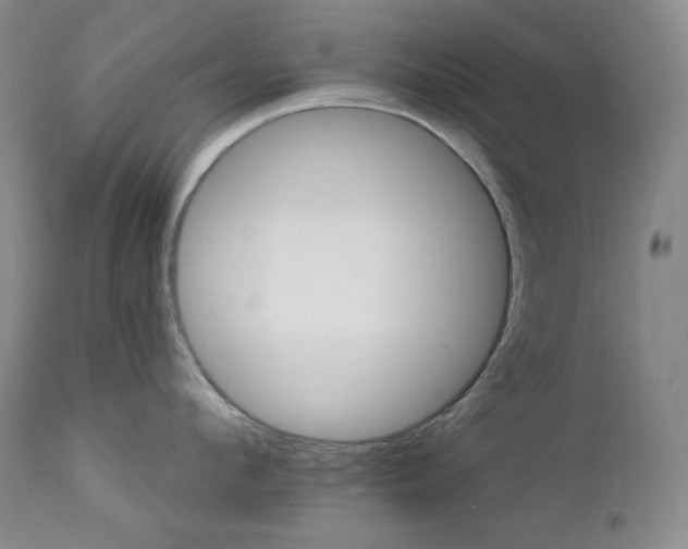 X0000113120912200908281435