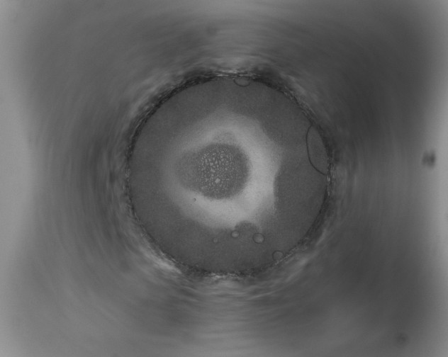 X0000113120913200908281434