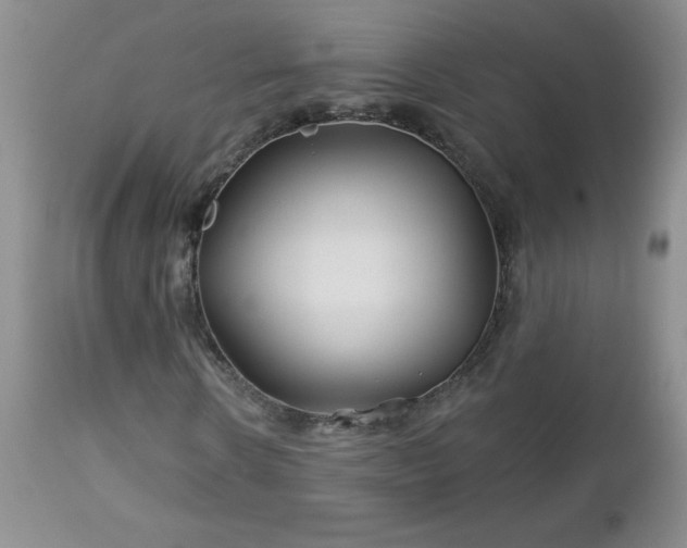 X0000113120914200908281434