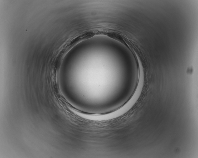 X0000113120915200908281434