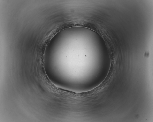 X0000113120916200908281434