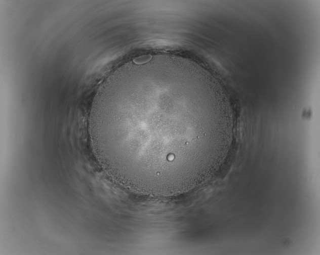 X0000113120917200908281434