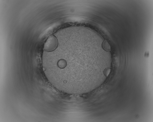 X0000113120918200908281434