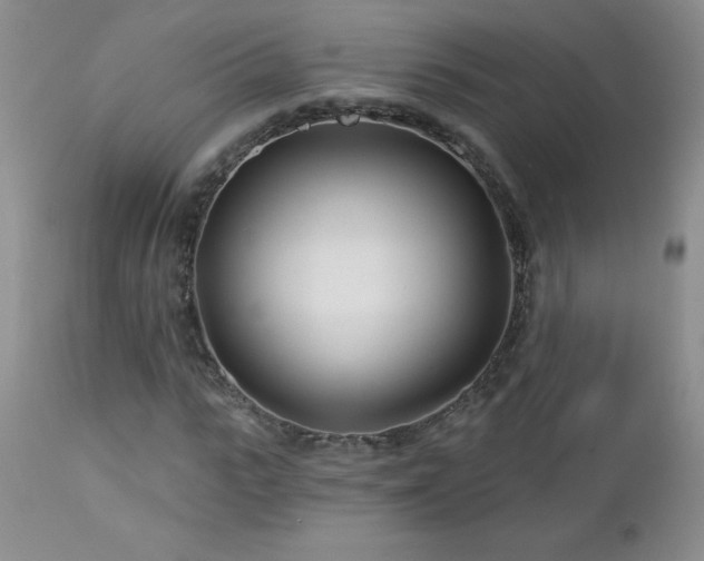 X0000113120919200908281434