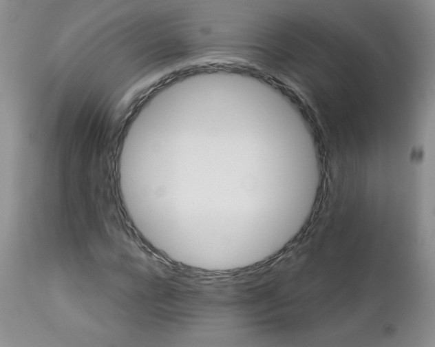 X0000113120920200908281434