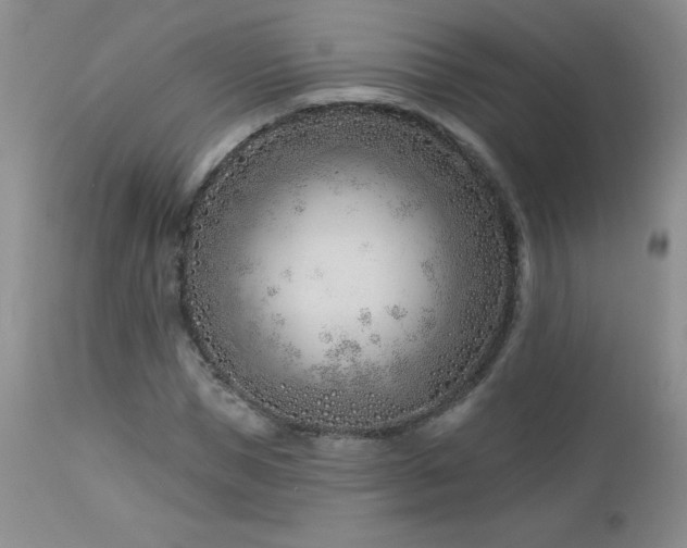 X0000113120921200908281434