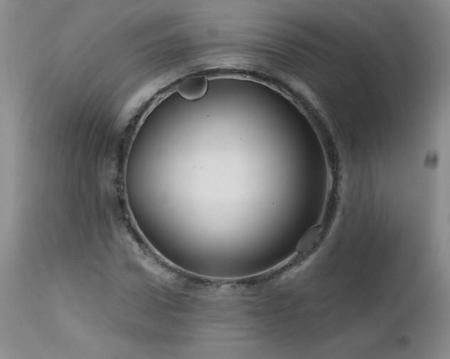 X0000113120922200908281434