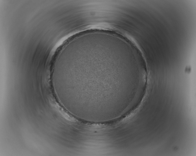 X0000113120923200908281434