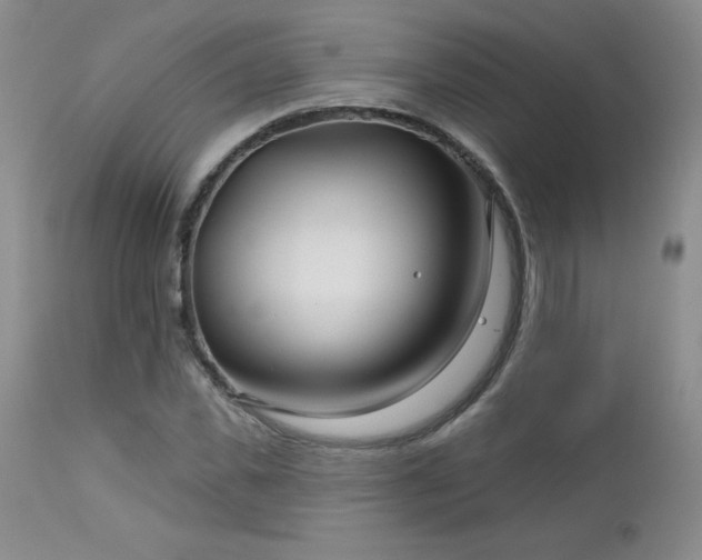 X0000113120925200908281434