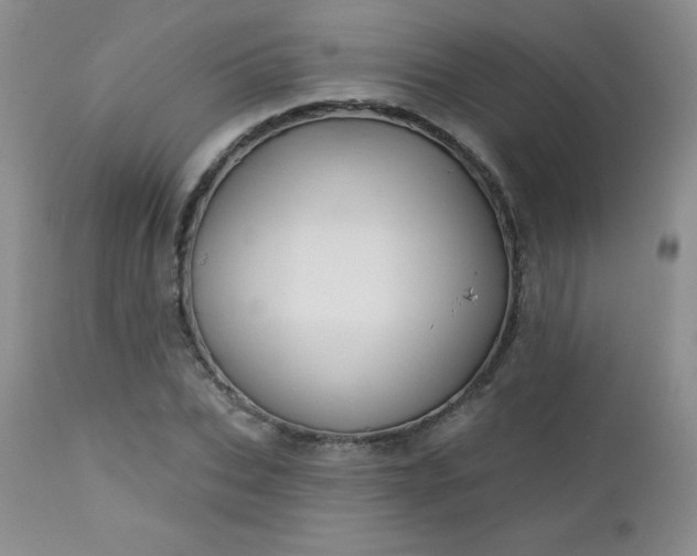 X0000113120927200908281434