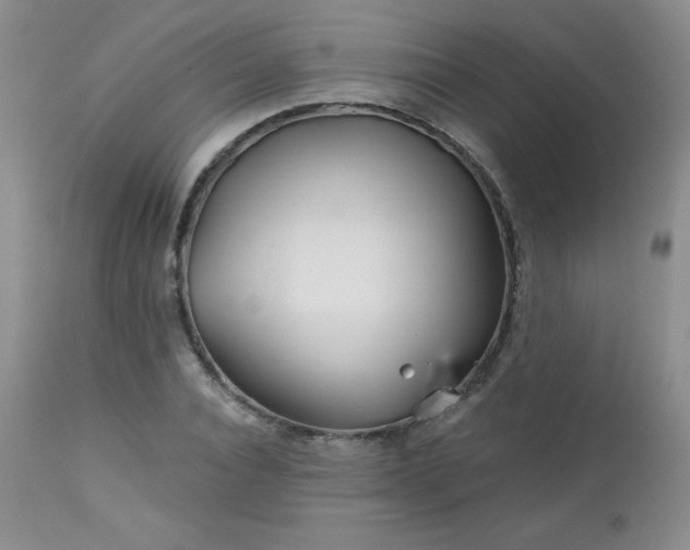 X0000113120928200908281434