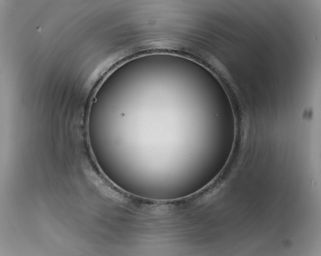 X0000113120930200908281434