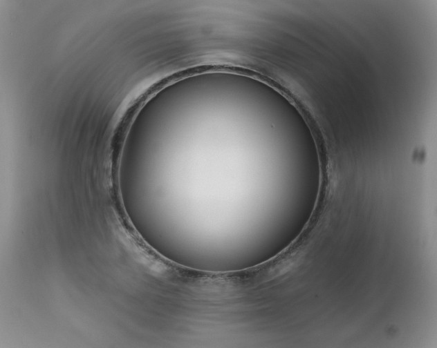 X0000113120931200908281434