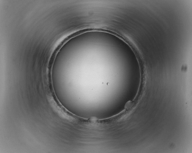 X0000113120932200908281434