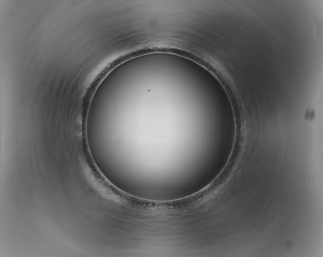 X0000113120934200908281434