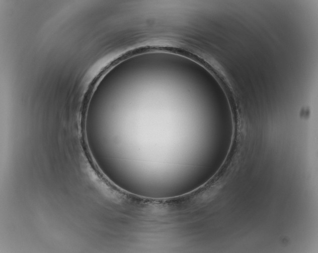 X0000113120935200908281434