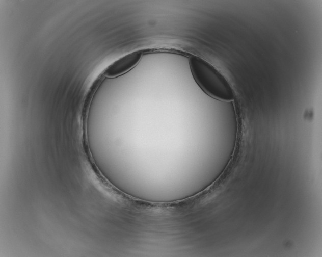 X0000113120936200908281434