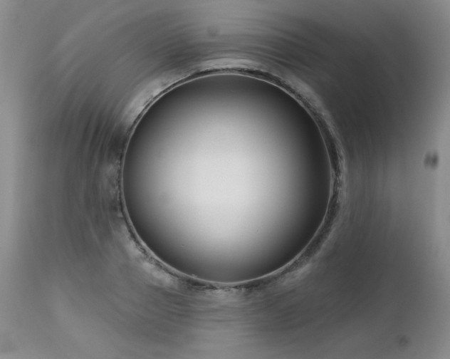 X0000113120937200908281434