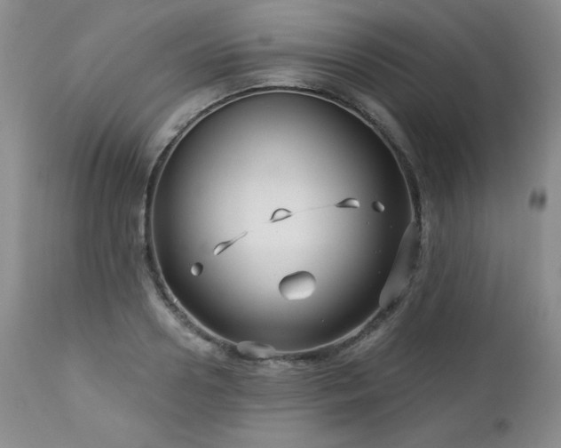 X0000113120938200908281434