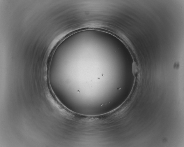 X0000113120939200908281434