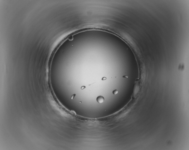 X0000113120940200908281434