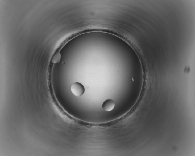 X0000113120942200908281434