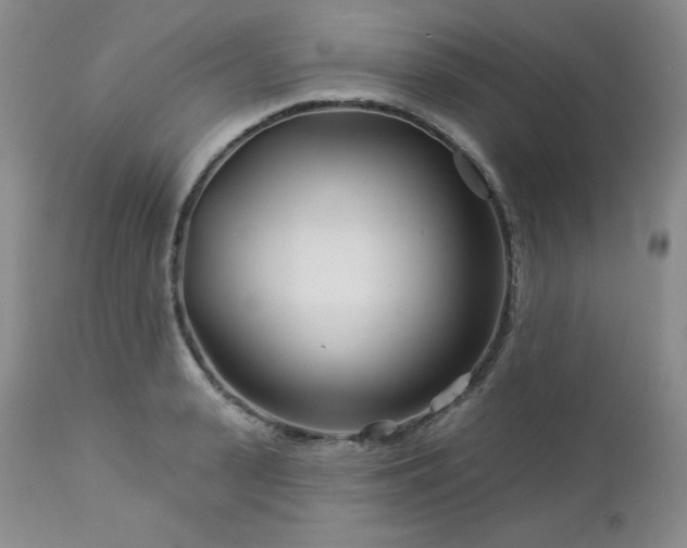 X0000113120943200908281434