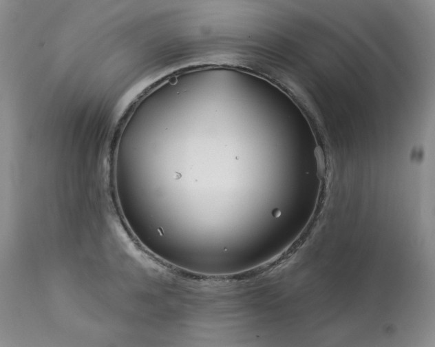 X0000113120944200908281434