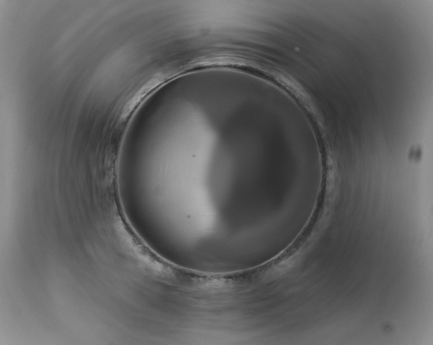 X0000113120945200908281434