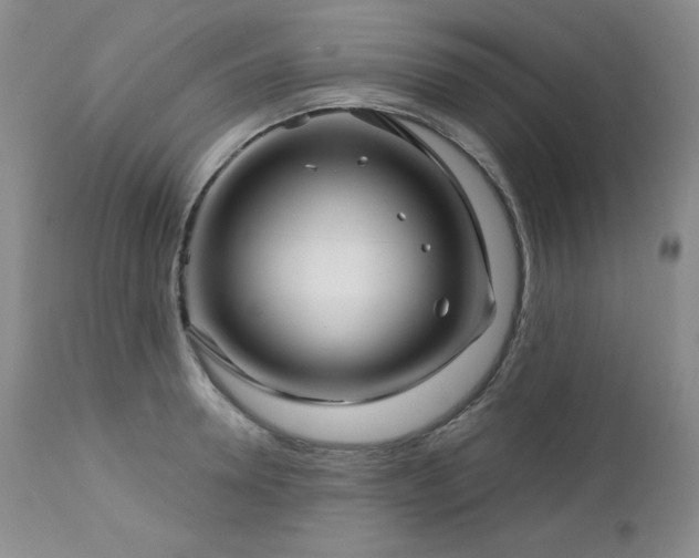 X0000113120946200908281434