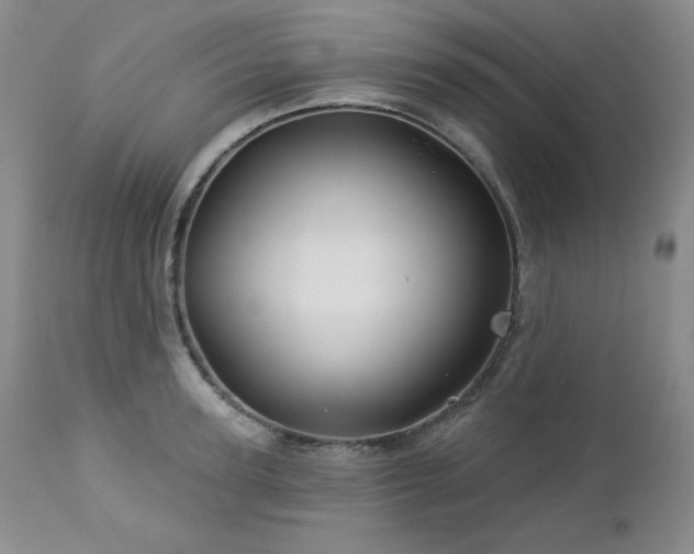 X0000113120947200908281434